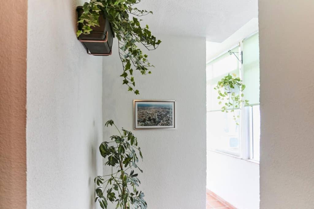 Original Y Coqueto Apartamento Junto A Plaza Mayor Apartment มาดริด ภายนอก รูปภาพ